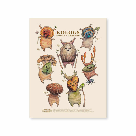 Koroks hongos medicinales