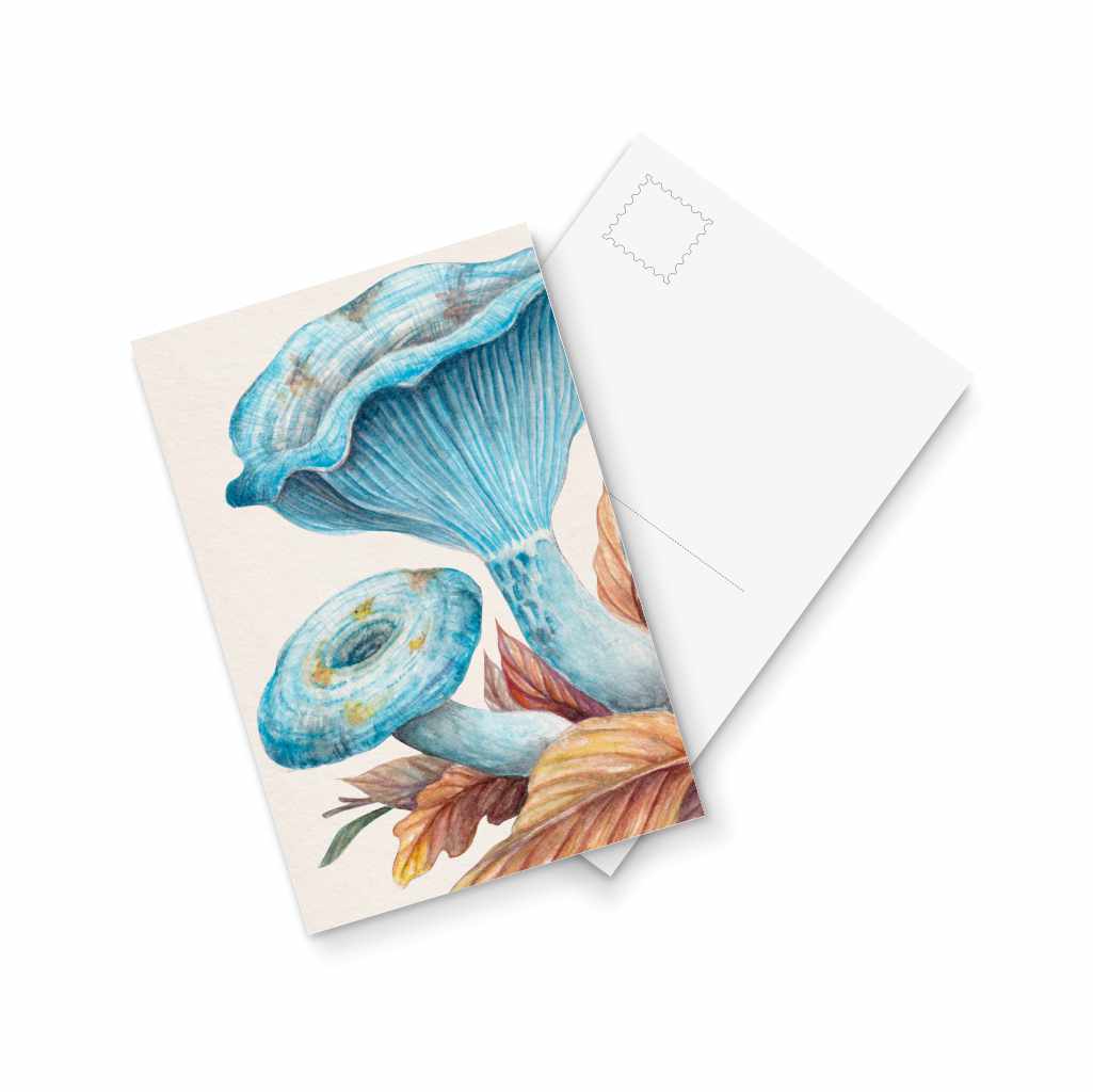 Lactarius indigo - postcard
