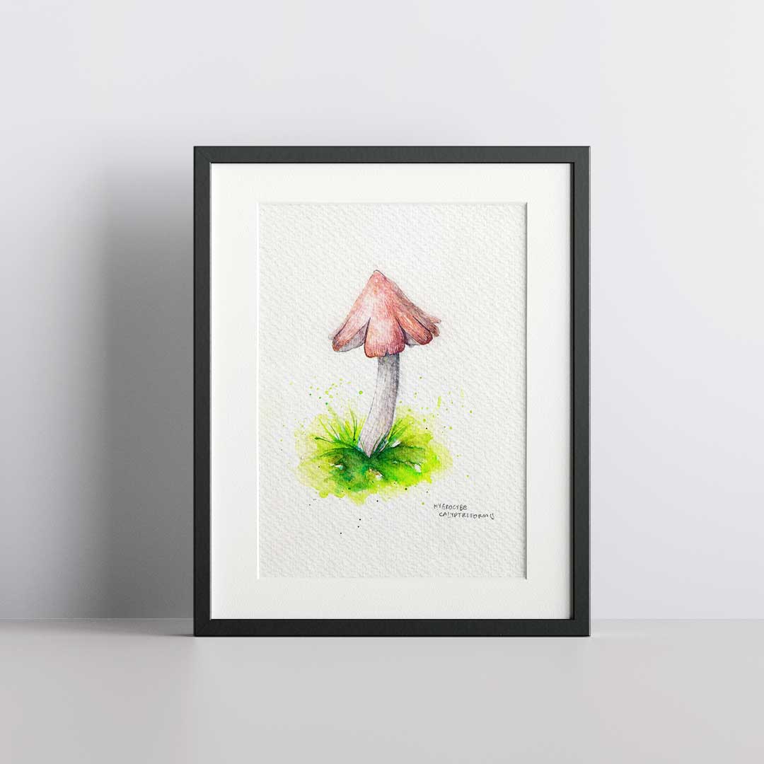 Hygrocybe pink - Original painting