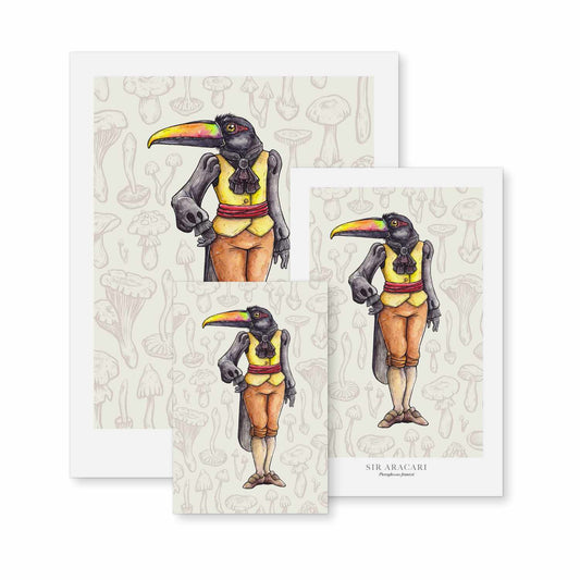 Sir Aracari