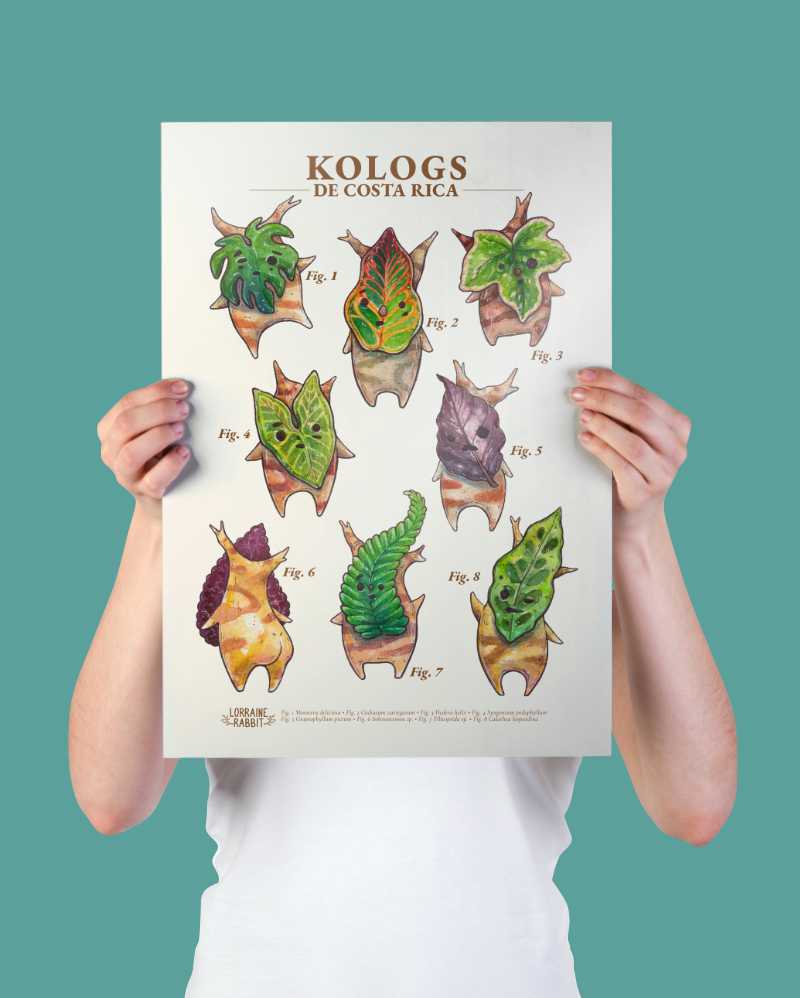 Koroks de Costa Rica - print A3