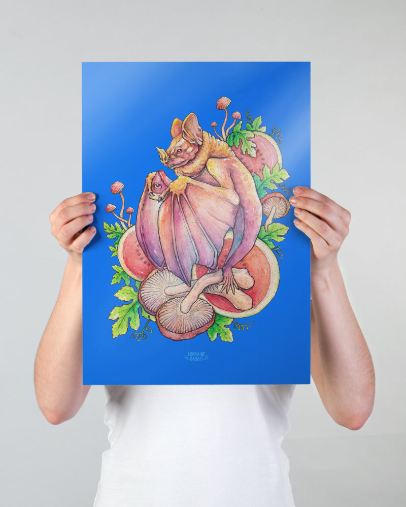 Citrullus Lanatus - print A3