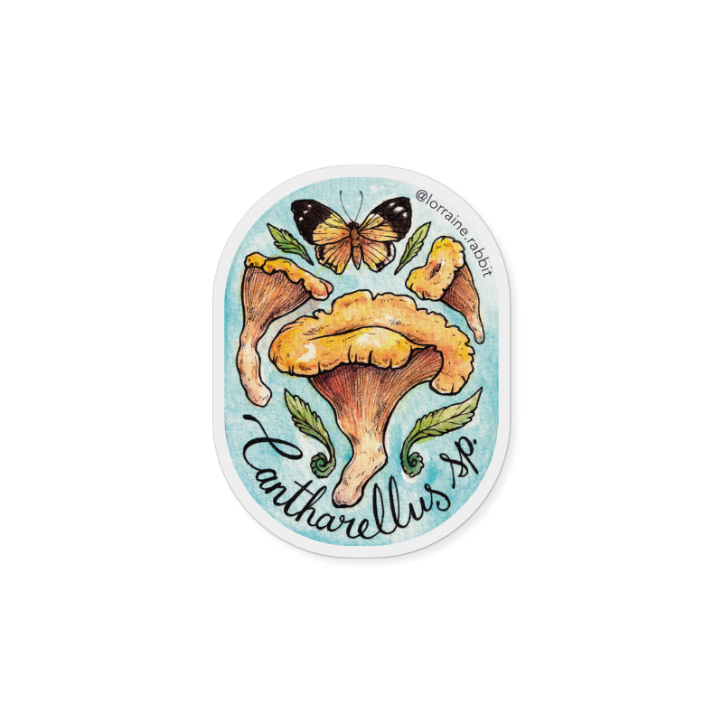 Cantharellus sp - sticker