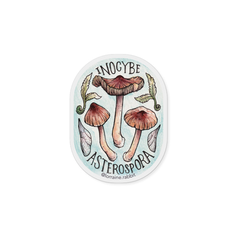 Inocybe asterospora - sticker