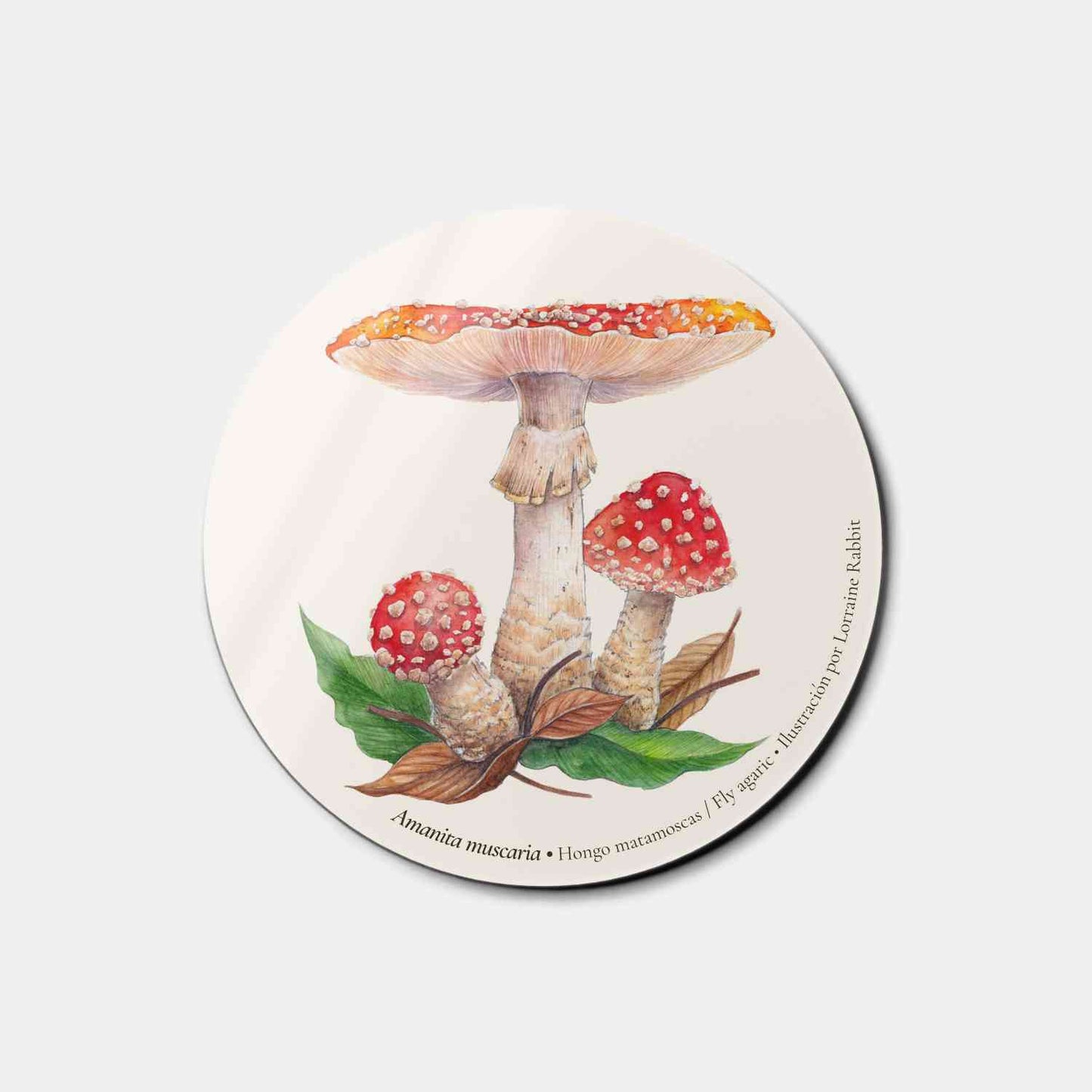 Amanita muscaria - magnet