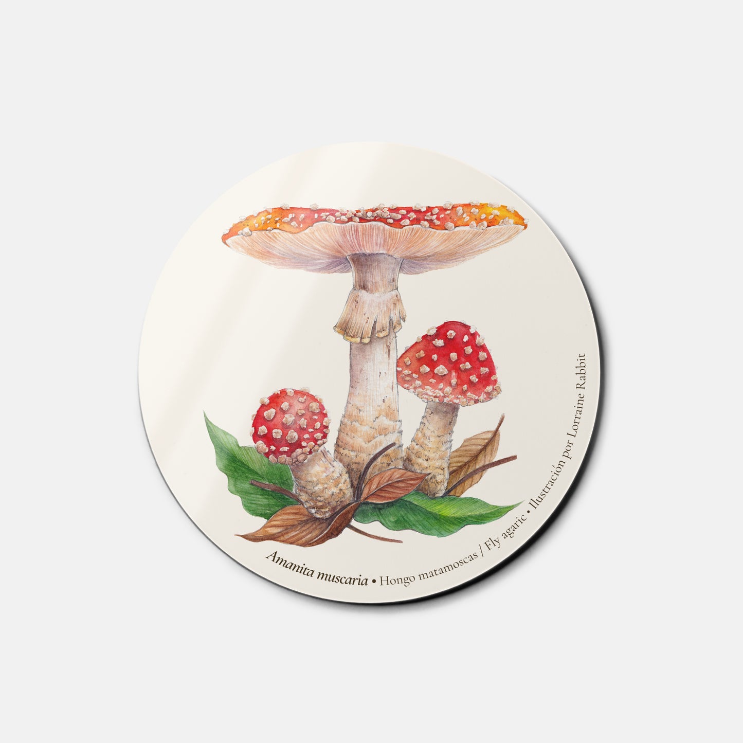 Amanita muscaria - imán