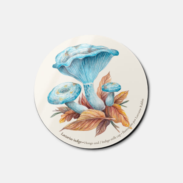Lactarius Indigo - magnet
