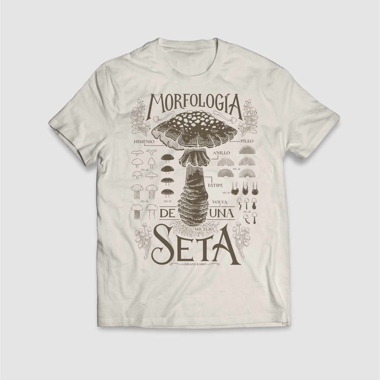 Morfología de una seta (light)