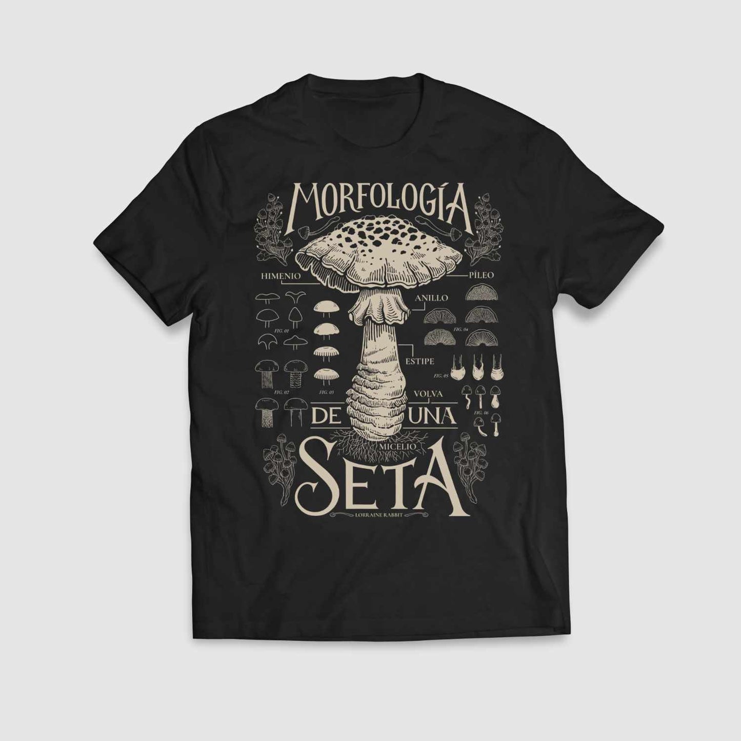 Morfología de una seta (dark)
