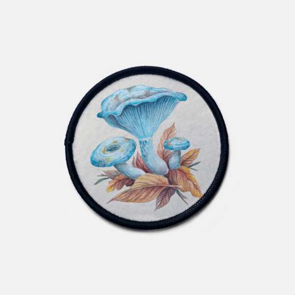 Lactarius indigo - parche