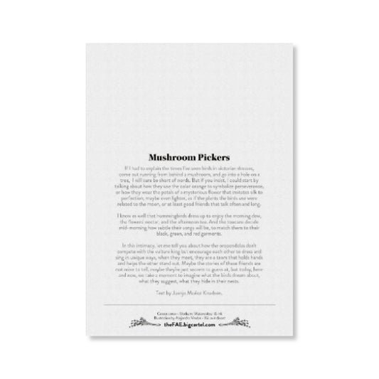 Conde Ramphastos - a5