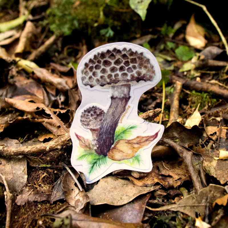 Old man of the woods - sticker