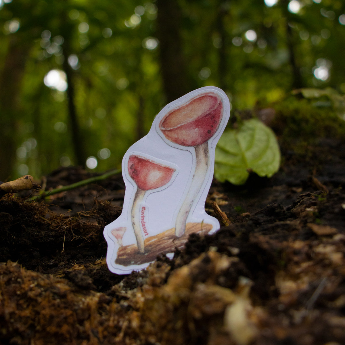 Hongo copita - sticker