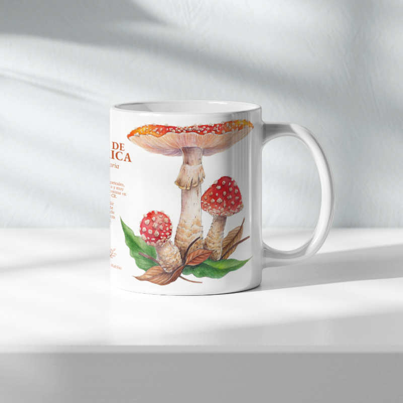 Hongos de Costa Rica (Amanita muscaria) - Taza