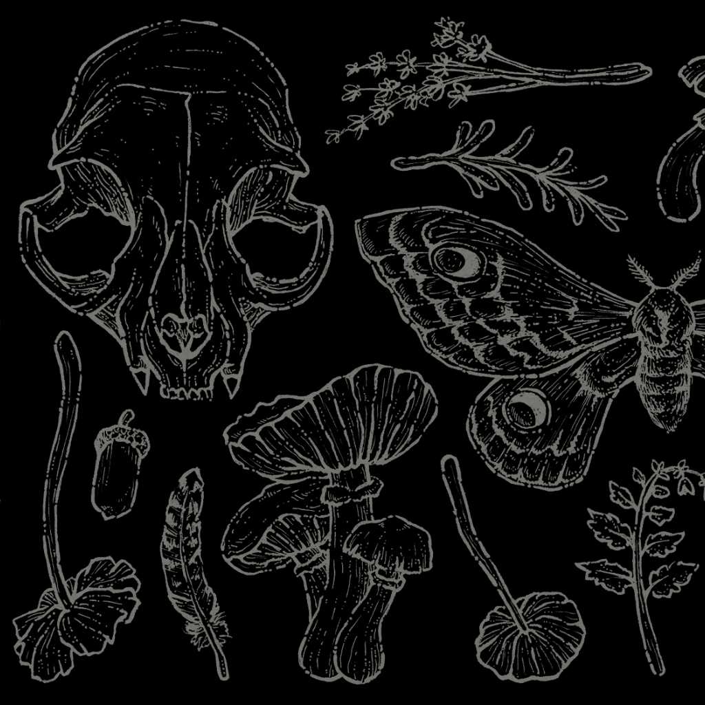 ILUSTRACIONES A TINTA