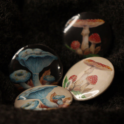 Broches fungi - pequeños