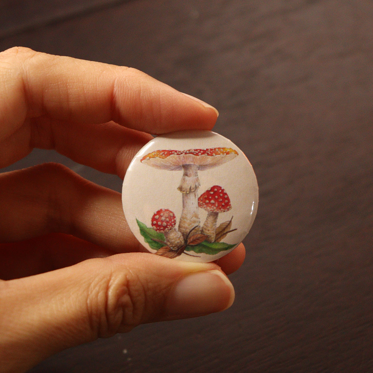 Broches fungi - pequeños