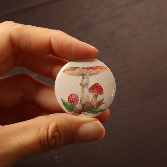 Broches fungi - pequeños