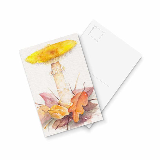 Little Queen - postcard