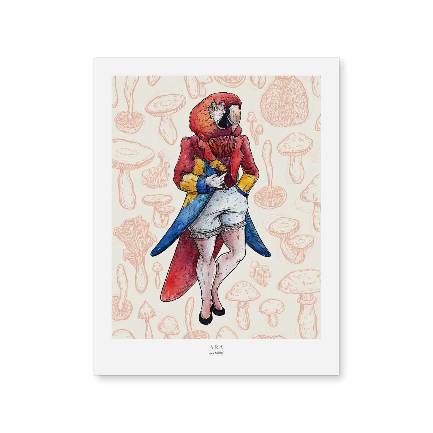 Ara – Lorraine Rabbit