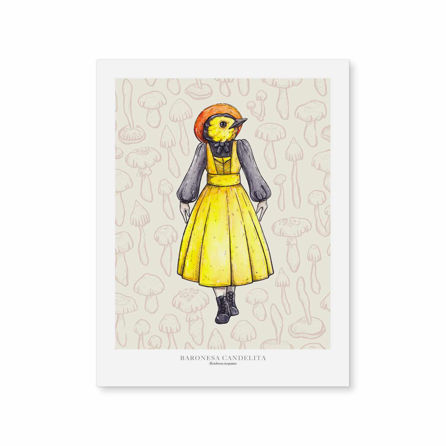 Baronesa Candelita – Lorraine Rabbit
