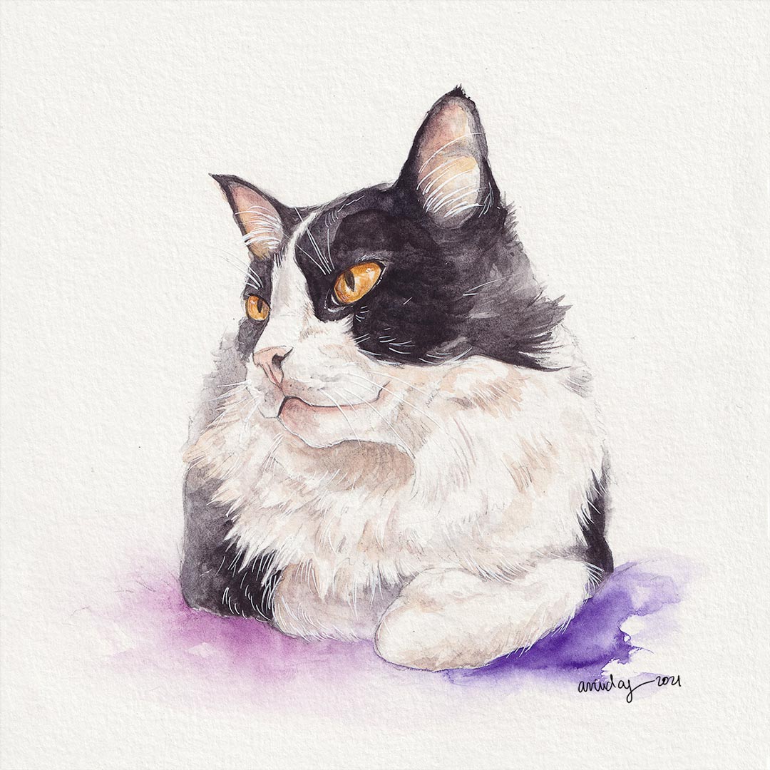 pet portrait