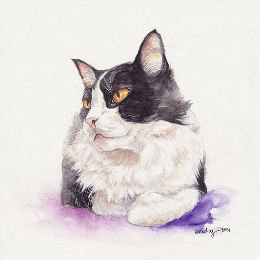 pet portrait