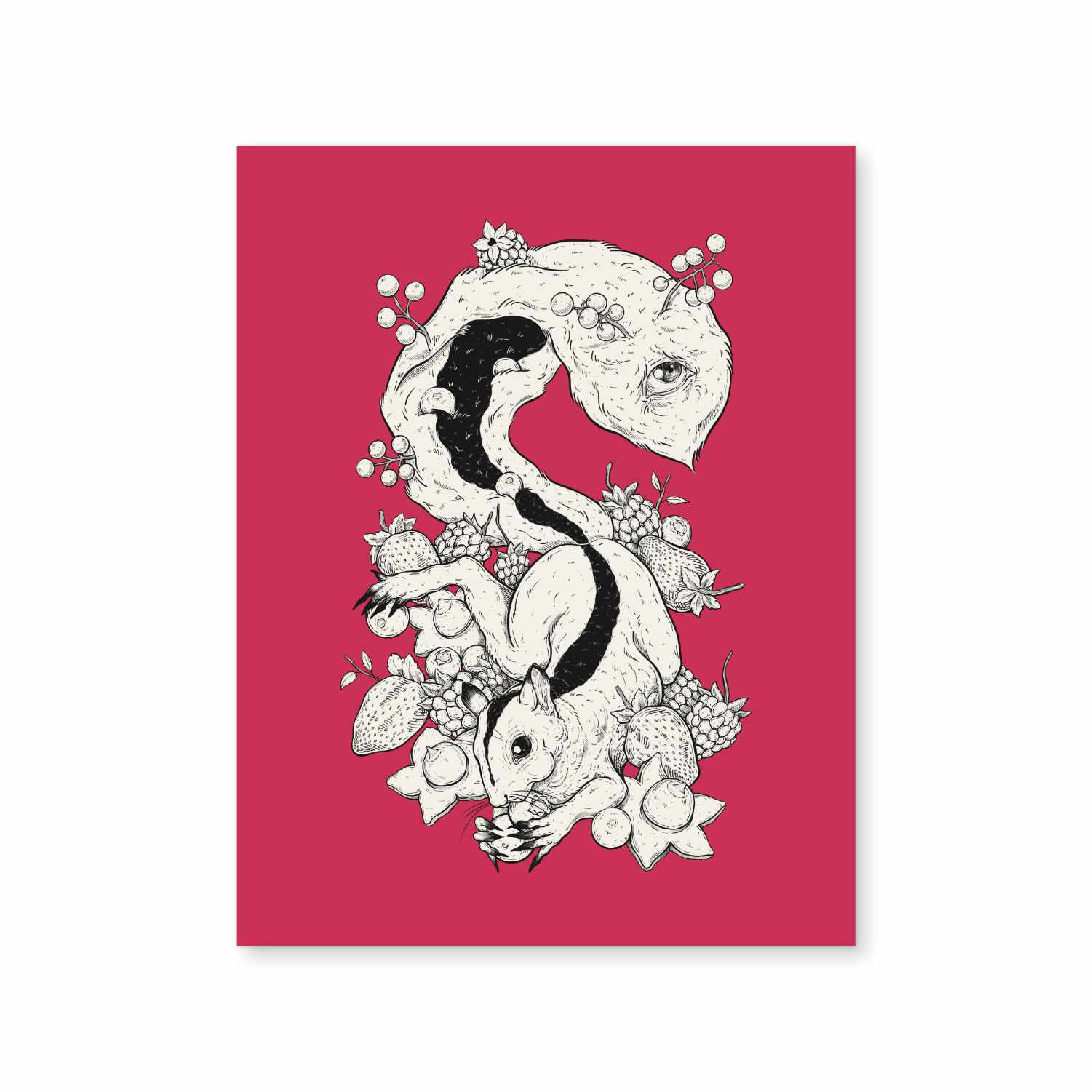 Frutos Rojos – Lorraine Rabbit
