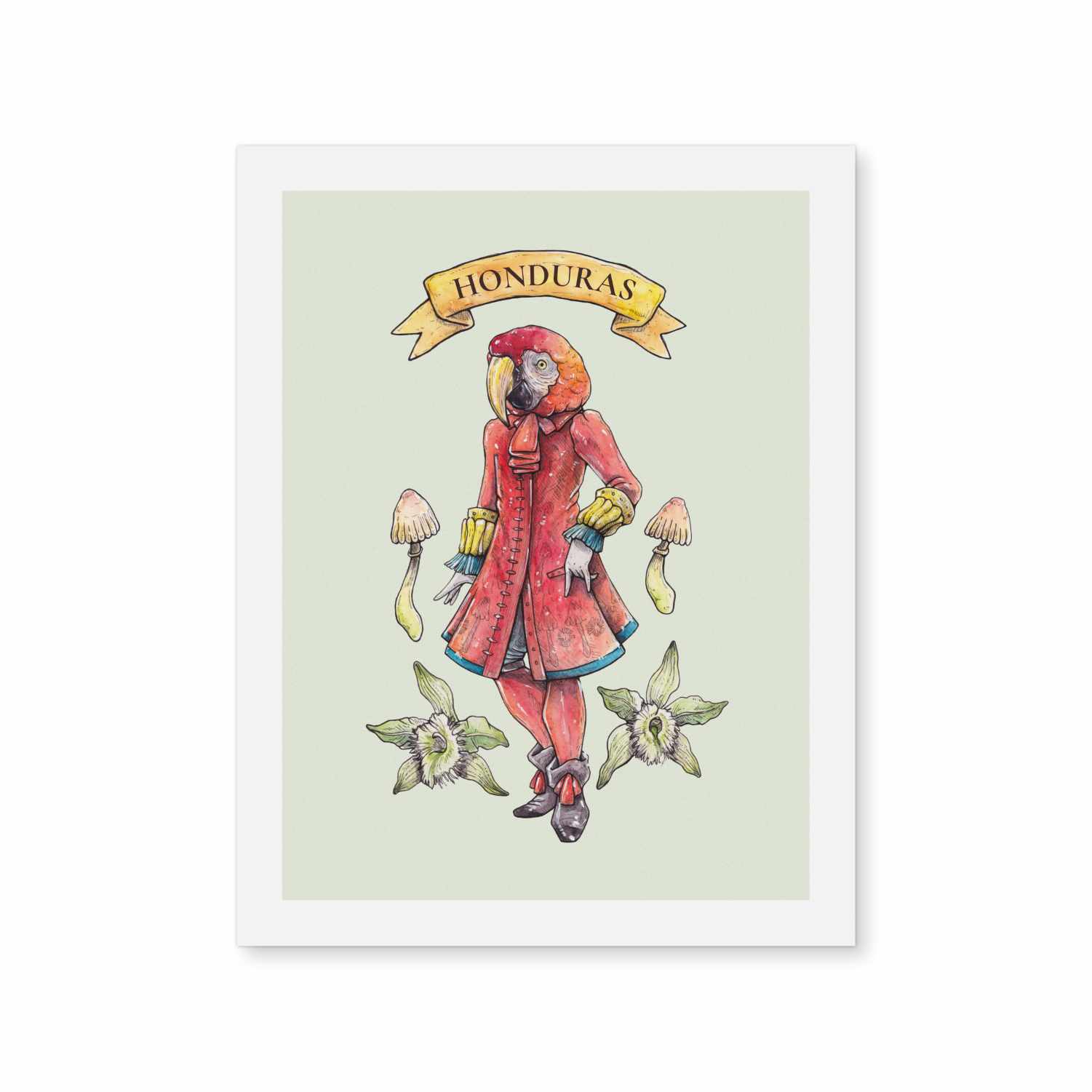 Marqués Rojo – Lorraine Rabbit