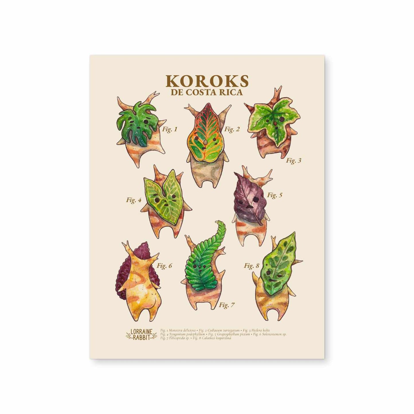 Koroks de Costa Rica - print