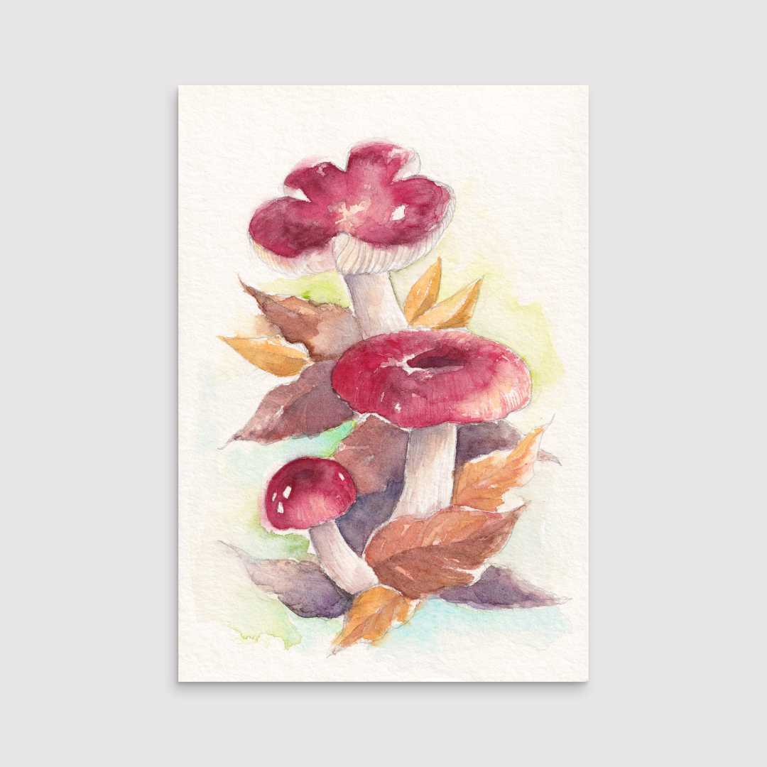 Russula sp