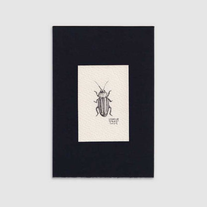 Mini gallery 020