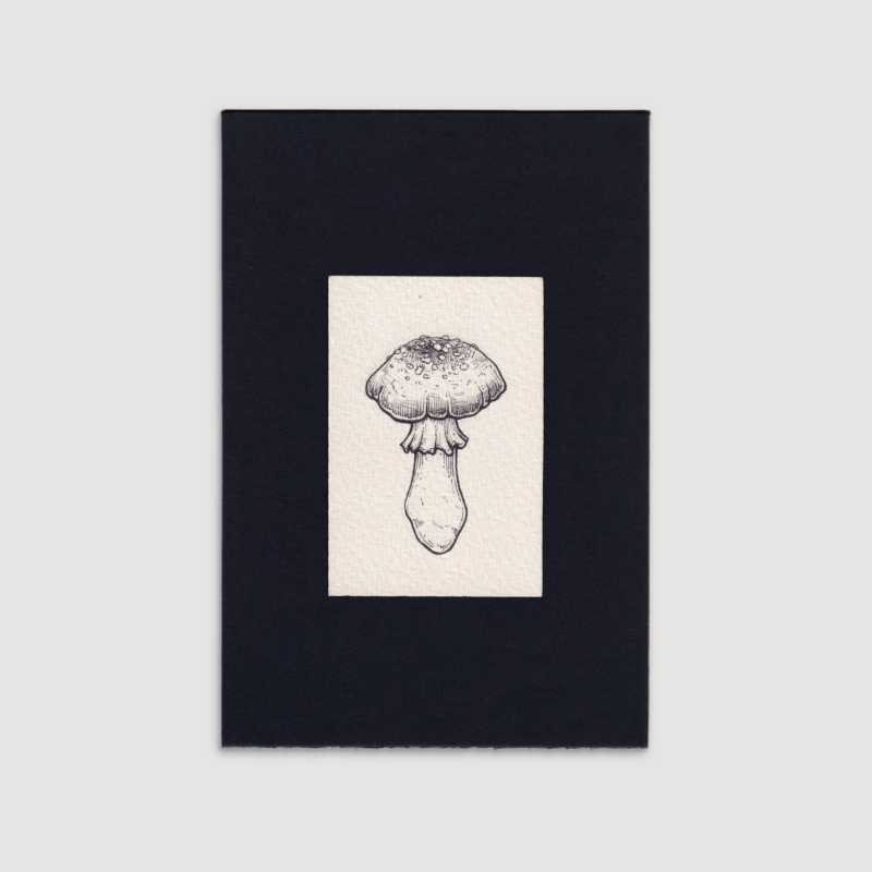 Mini gallery 001