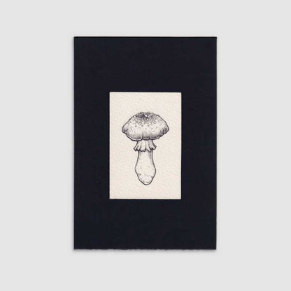 Mini gallery 001