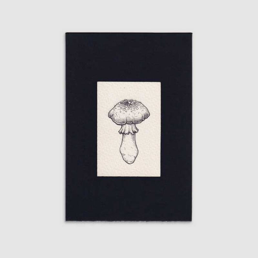 Mini gallery 001