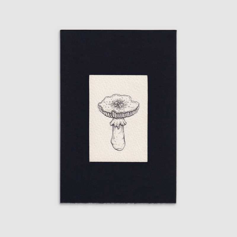 Mini gallery 002