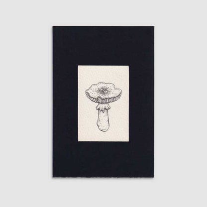 Mini gallery 002