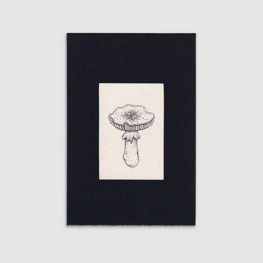 Mini gallery 002