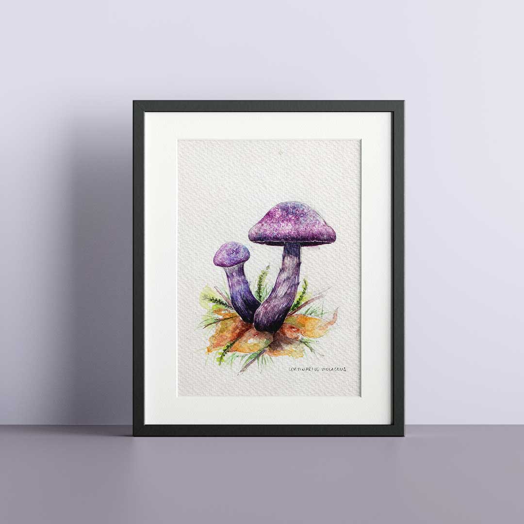 Cortinarius purple - Original painting