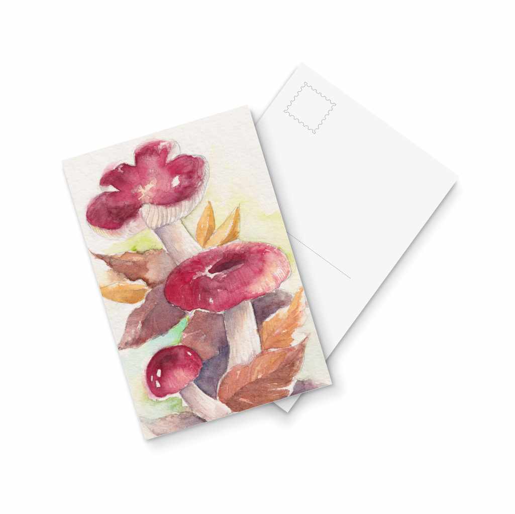 Russula sp. - postcard