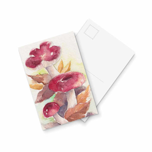 Russula sp. - postcard