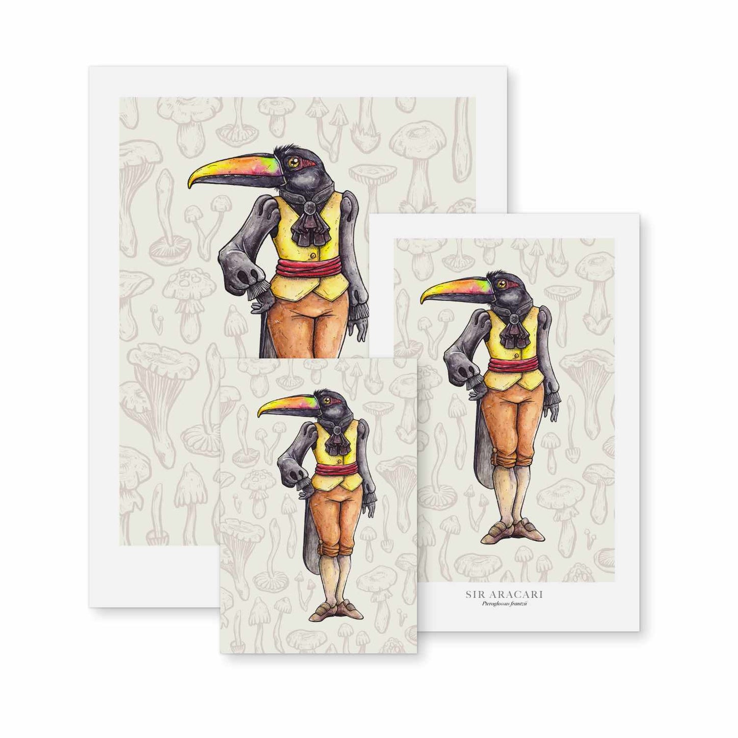Sir Aracari