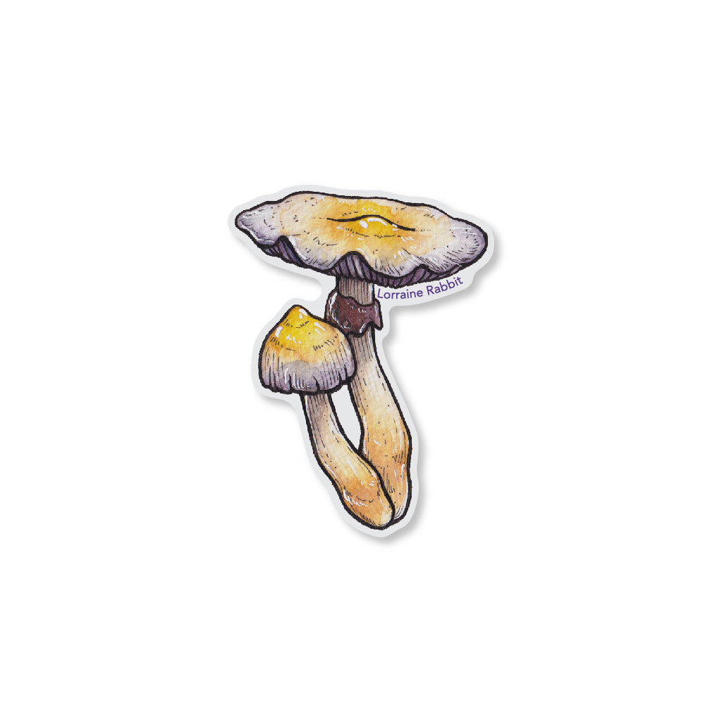 Magic shroom 2 - sticker