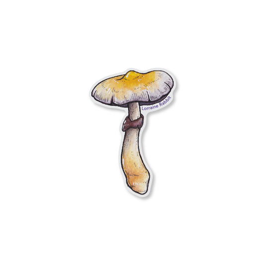 Magic shroom 1 - sticker