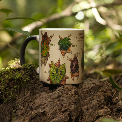 Koroks de CR - Taza