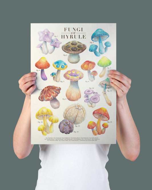 Fungi of Hyrule - print A3