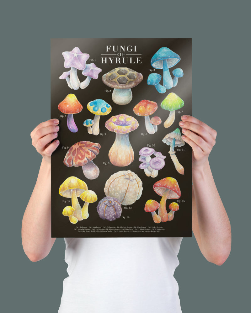 Fungi of Hyrule - print A3