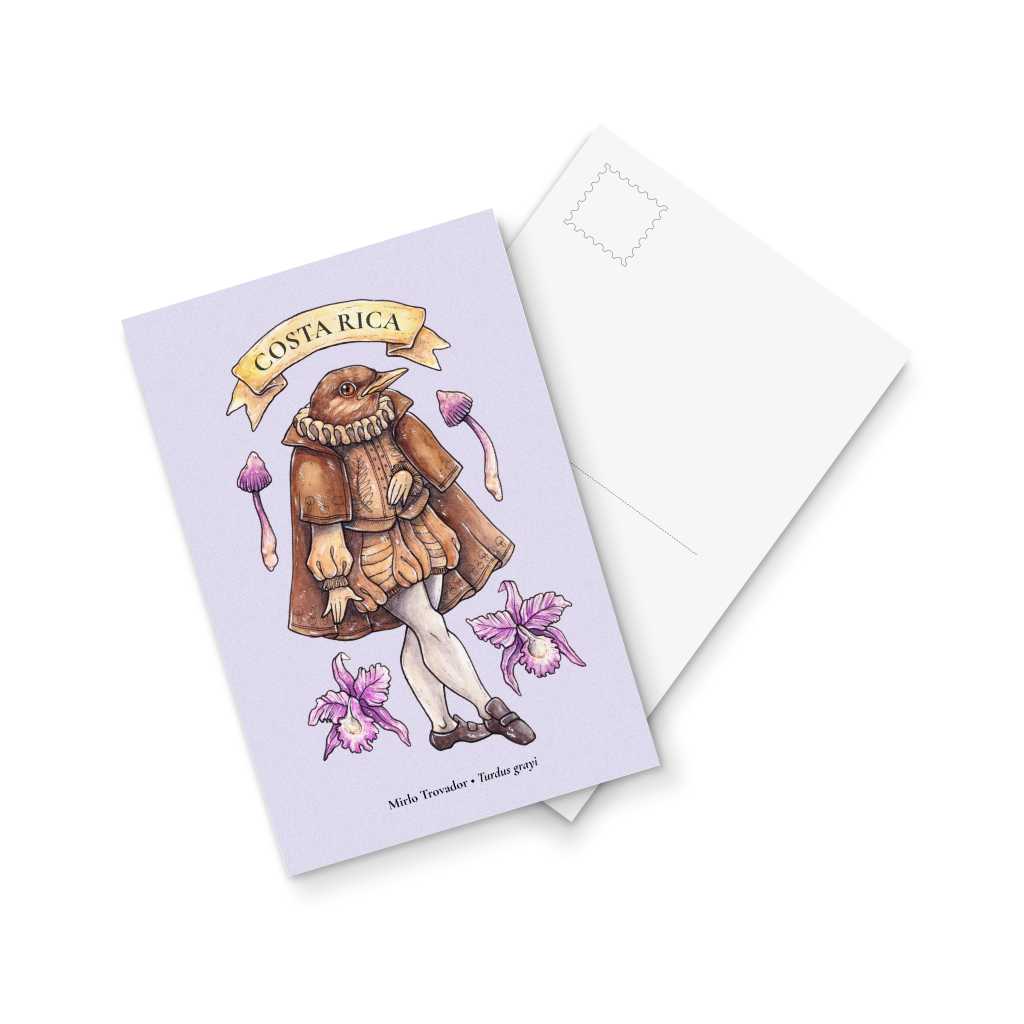 Mirlo Trovador - postcard