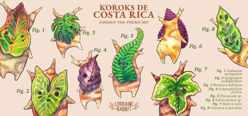 Koroks de CR - Taza