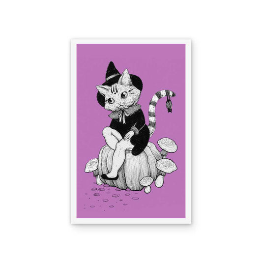 Gata calabaza (morada)